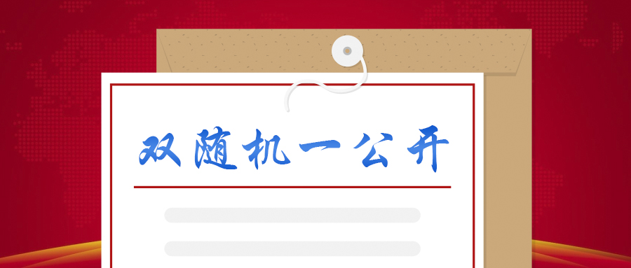 双随机一公开