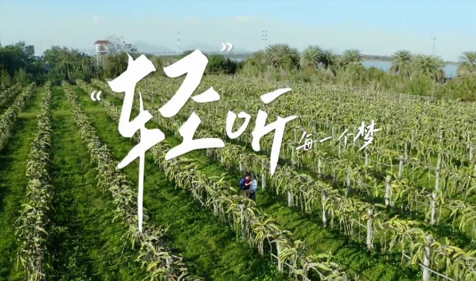 短片丨“轻”听每一个梦