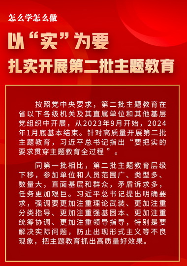 以“实”为要，扎实开展第二批主题教育