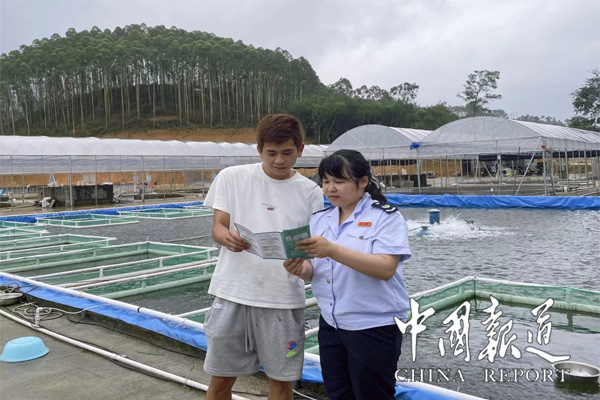 阳江阳春：一条“鳜鱼”变“贵鱼” 背后的税收“底气”
